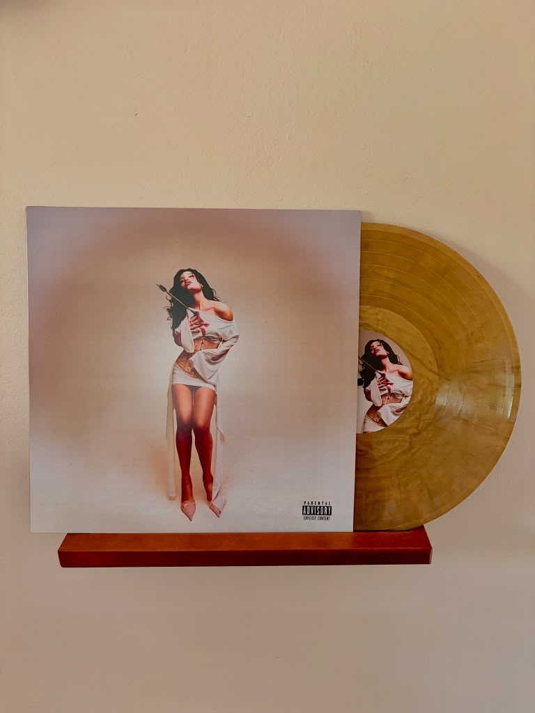 It’s not love, cariño… it’s limerence Vinyls